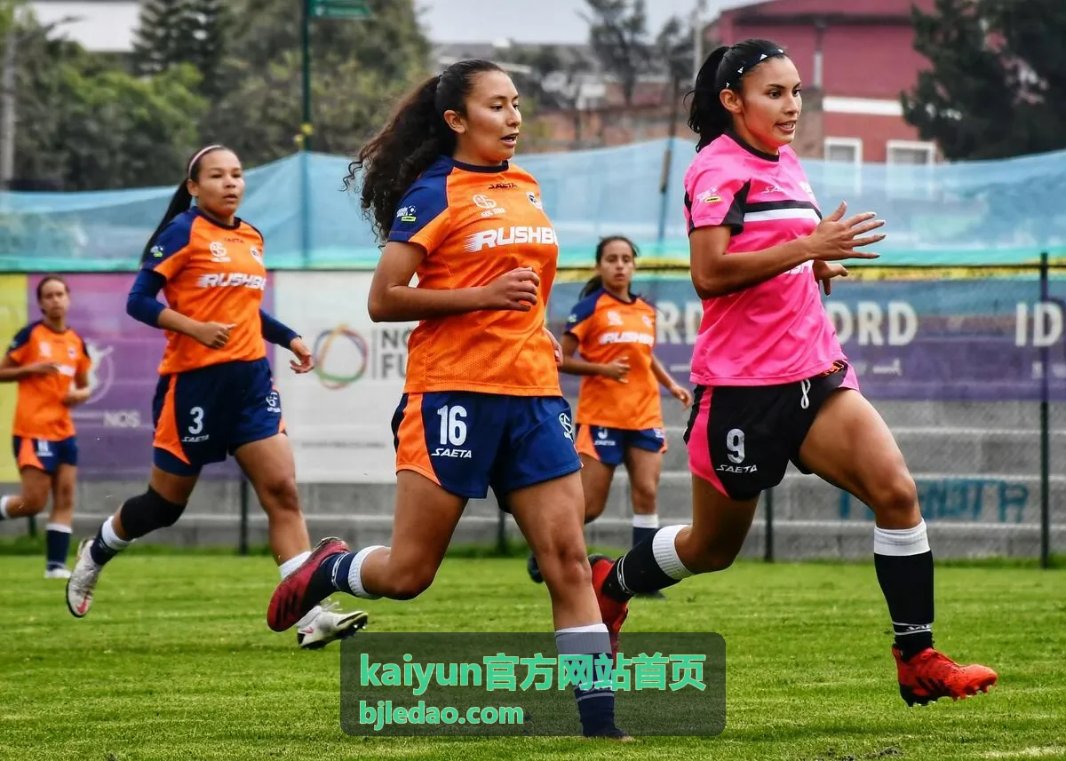 kaiyun官方网站首页客户端主界面预览图