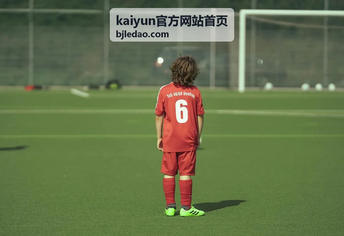 kaiyun官方网站首页客户端启动与版本信息界面截图