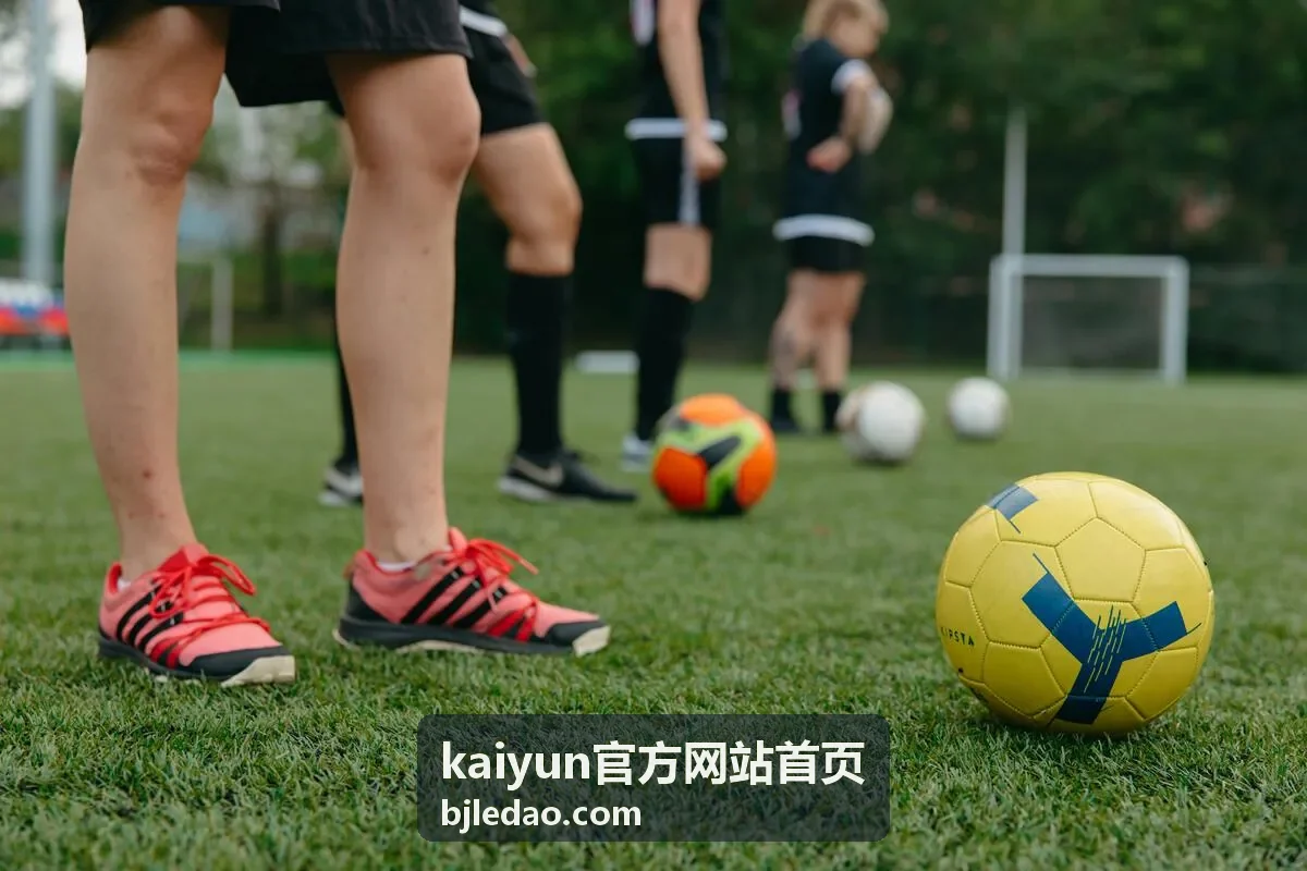 kaiyun官方网站首页版本与更新信息展示图
